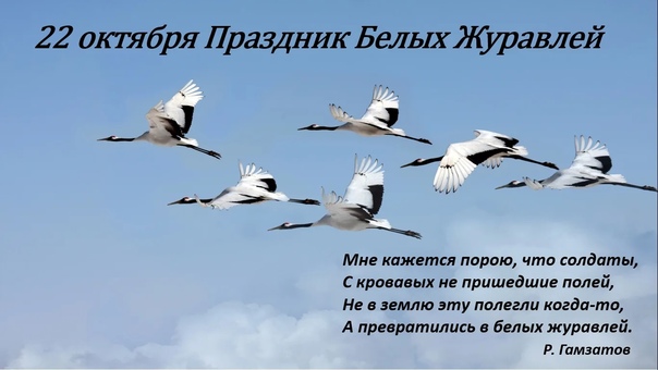 22 октября - День белых журавлей! Мы замолкаем, глядя в небеса… 22 октября - День белых журавлей! Мы замолкаем, глядя в небеса….
